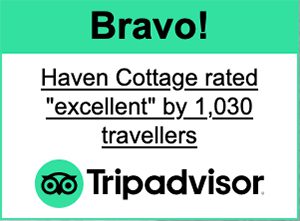Tripadvisor - Bravo